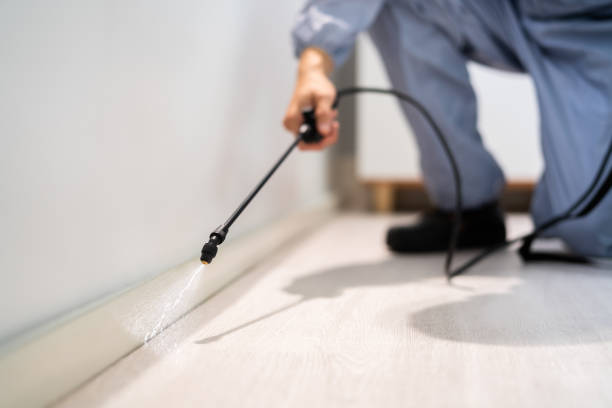 Bed Bug Pre-Treatment Preparation Assessment in Junction City