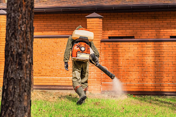 Bed Bug Clearance Verification and Documentation in Junction City